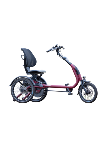 Tricycle Easy Rider Compact