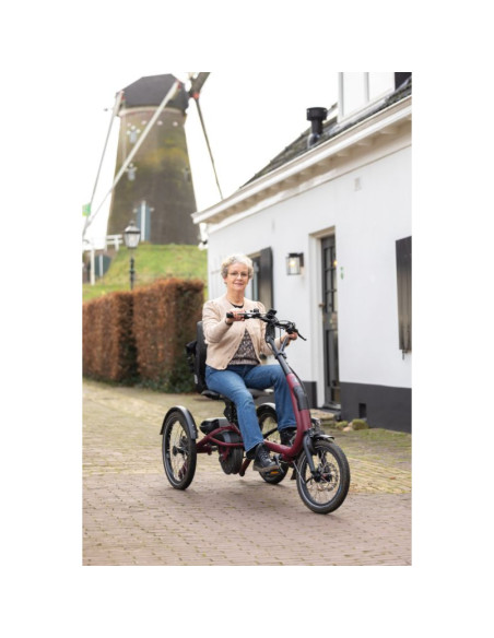 Tricycle Easy Rider Compact