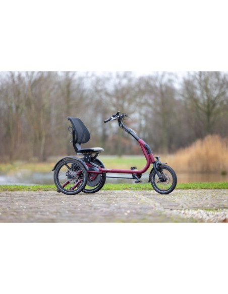 Tricycle Easy Rider Compact